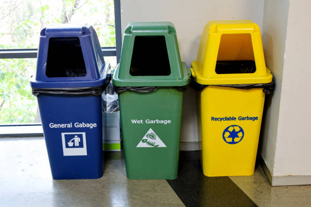 Why is It Important to Segregate Waste