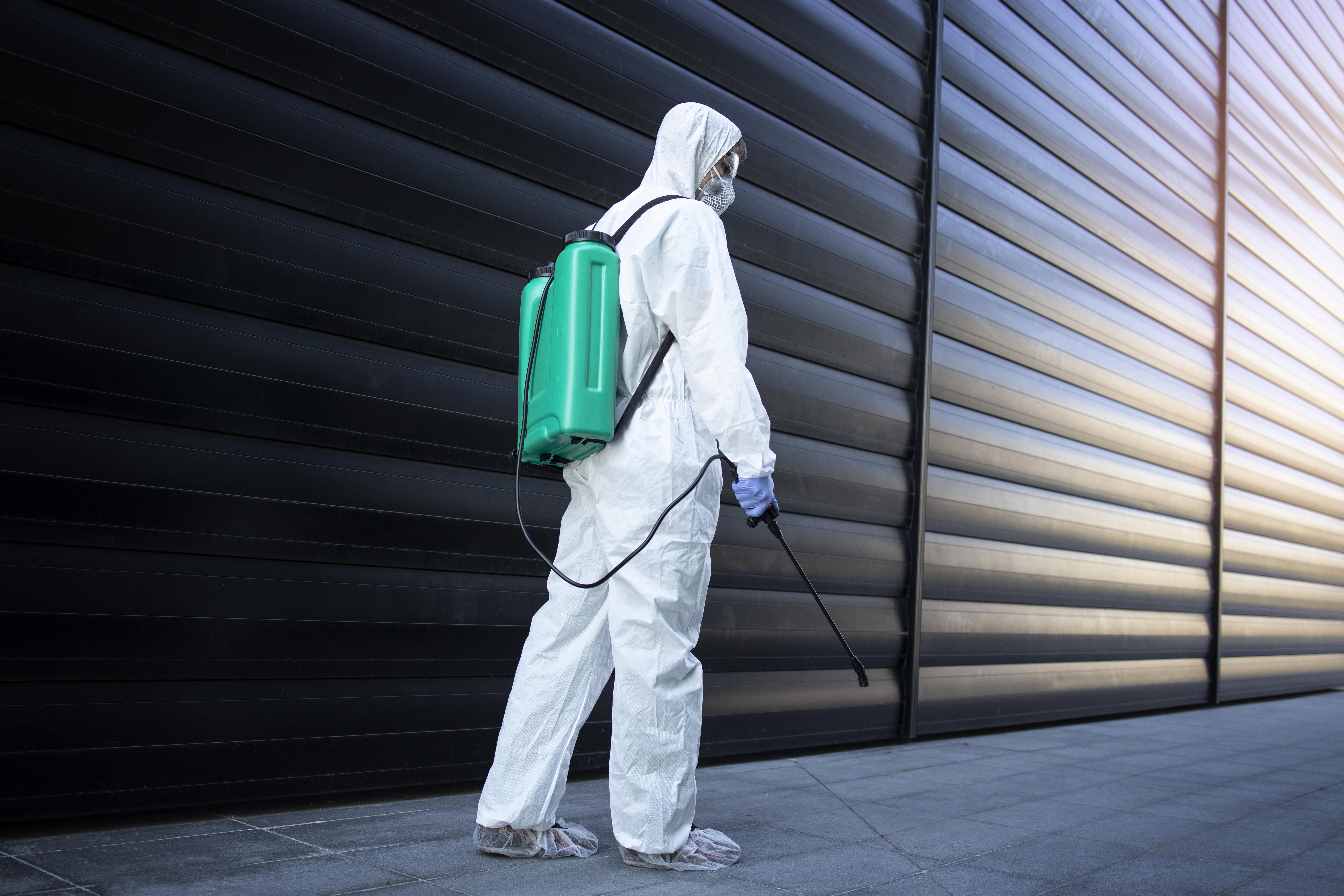 Pest Control Dubai