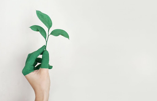 green and clean environment
